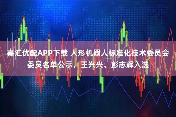 嘉汇优配APP下载 人形机器人标准化技术委员会委员名单公示，王兴兴、彭志辉入选