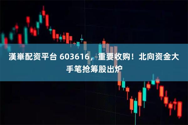 漢崋配资平台 603616，重要收购！北向资金大手笔抢筹股出炉